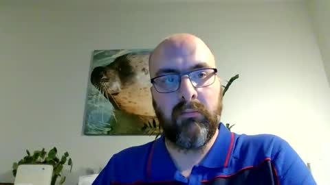 Sweet Dave online show from November 7, 4:42 pm