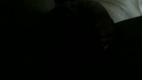 12captnhook18 online show from April 16, 4:56 am