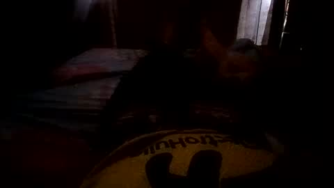Snapshot of 1991brayan115309 chatting on October 5, 1:51 pm Felipe25cm online show from October 5, 1:51 pm