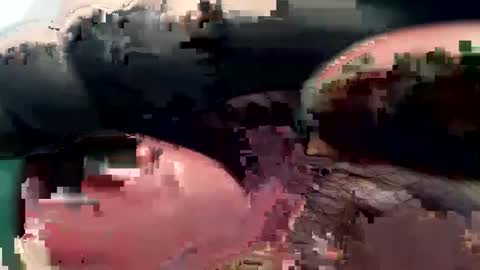 420_johnnystamina online show from February 15, 4:45 pm