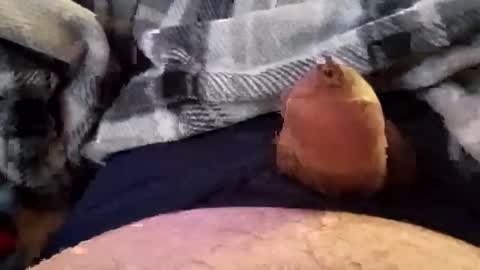 69angel96 online show from March 11, 4:43 pm