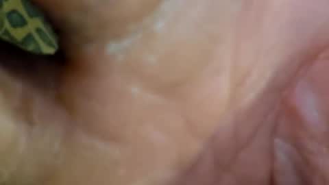 HUGH G RECTION online show from December 7, 8:55 pm