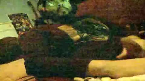 6instraighter7 online show from November 3, 11:55 am