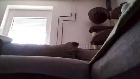 88piterr88 online show from February 24, 7:22 am