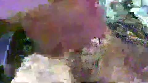 Snapshot of 99zeus9 chatting on January 15, 12:36 pm 99zeus9 online show from January 15, 12:36 pm