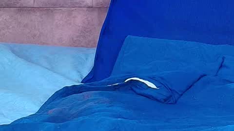 Any online show from October 5, 11:23 pm