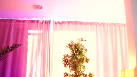 Snapshot of _arielle chatting on February 14, 12:25 pm Arielle online show from February 14, 12:25 pm