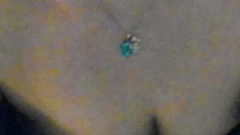 Sofia  online show from April 7, 7:05 pm