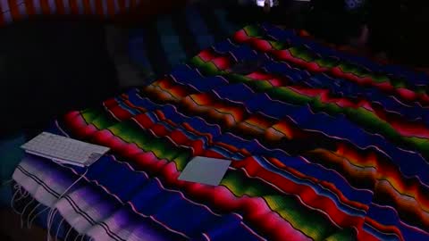 Rex online show from December 1, 10:57 am