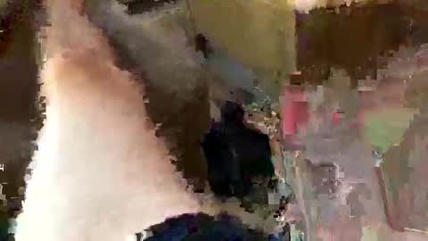 _pobbage online show from April 29, 3:22 am