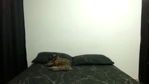 Sofia Parker online show from September 11, 3:13 pm