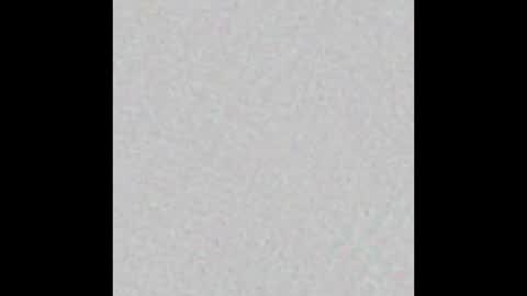 _tammarra_ online show from February 14, 2:54 pm