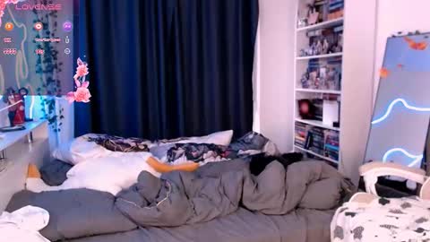 Tory lavender - MV online show from November 7, 12:07 pm