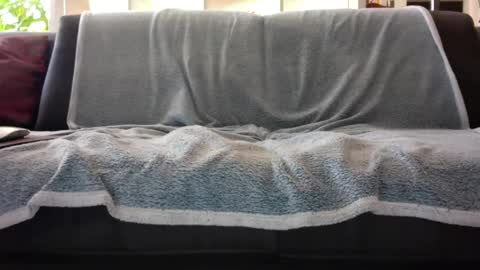 a_nice_dick_77 online show from February 7, 10:08 am