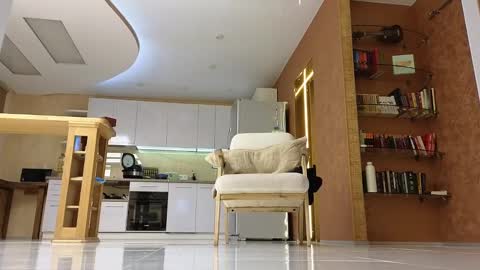 Ada   online show from December 1, 4:32 pm