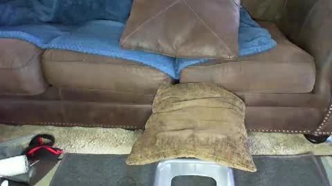 This is a temp room please follow excelsior62 by clicking the link below online show from January 9, 7:52 pm