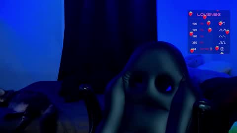 Cat online show from December 5, 4:44 am