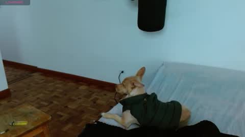 Agness online show from October 10, 8:57 pm