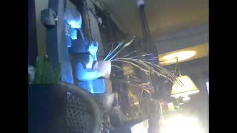 ajstevens326 online show from November 3, 11:11 am