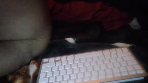 Snapshot of aken4it chatting on October 17, 7:29 pm aken4it online show from October 17, 7:29 pm