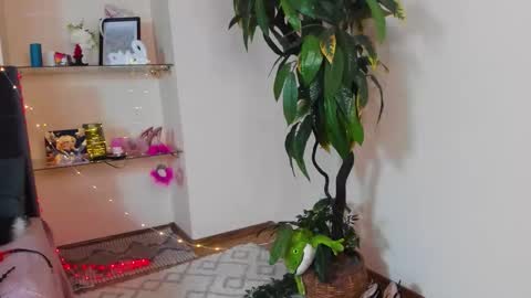 Alexsy online show from May 22, 6:31 am
