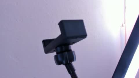 Alice online show from September 11, 9:38 pm