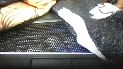 alicia253177 online show from September 13, 7:00 am