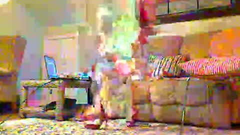 Alicia deHart  Help me reach 1000 Followers. Its FREE online show from February 13, 11:41 pm