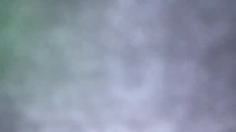 all_most_sane online show from May 18, 4:02 pm