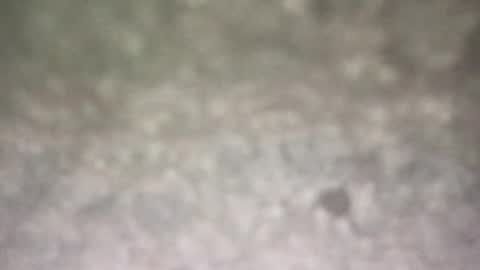 all_most_sane online show from February 20, 7:16 pm
