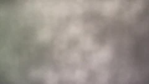 all_most_sane online show from February 26, 4:21 pm