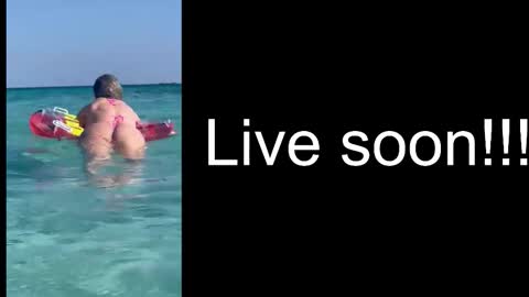 Allie online show from December 17, 5:47 am