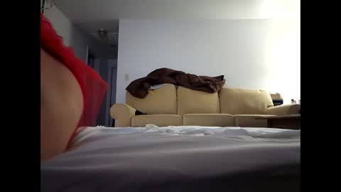 alllursss online show from December 20, 12:05 pm