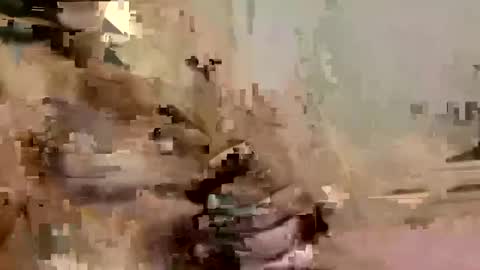 allman617 online show from November 2, 3:17 am