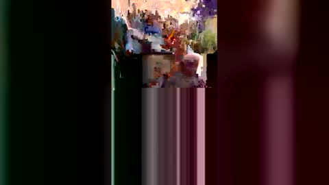 alpacamike online show from June 8, 3:29 am