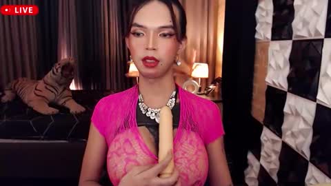 amazinghorsecocktrans online show from October 4, 11:19 am