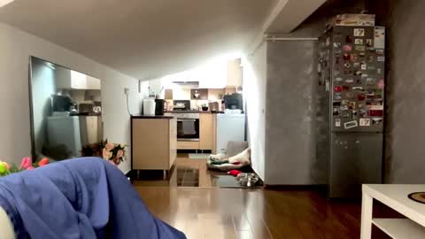 amyroberta92 online show from February 25, 8:18 am