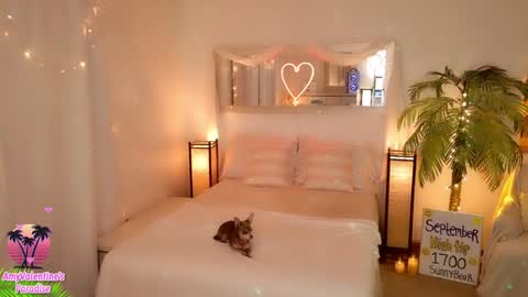  AmyValentine  online show from September 26, 5:48 am