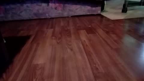 prdelkahladov online show from December 29, 9:52 pm