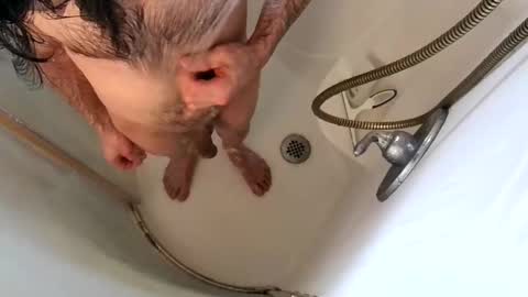 Snapshot of andybadass chatting on February 9, 7:09 pm andybadass online show from February 9, 7:09 pm