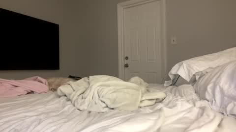 angelicalexa online show from November 5, 4:03 am