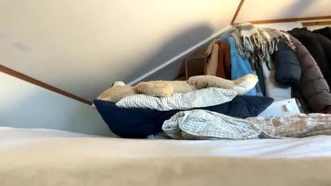 Angelica online show from November 7, 1:24 pm