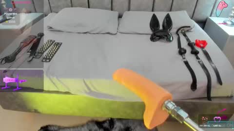 Ani  Time schedule 0600 - 1400 GMT -5 online show from February 11, 11:47 am