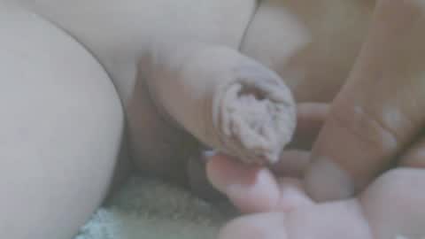 annitsx online show from April 12, 9:02 am