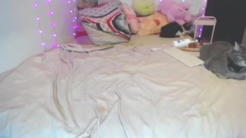  INDEPENDENT MODEL next srteam 240624 online show from January 6, 11:53 pm