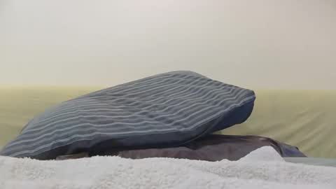 aotearoa31 online show from November 4, 11:50 pm