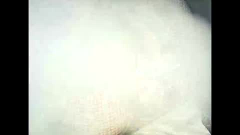 arabtrans2025 online show from February 18, 8:52 pm