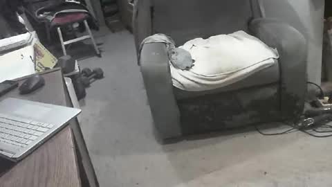 arealshowoff online show from March 22, 12:09 pm