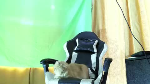 aronmiller online show from July 21, 2:08 pm