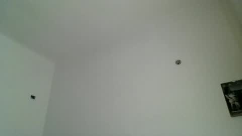 artur833 online show from June 14, 7:38 pm